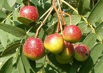 Foto z přednášky Z. Špíška