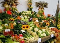 Zájezd: FLORA OLOMOUC