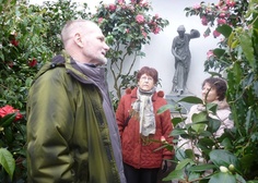 Foto - Toulavá kamera