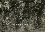 VÝSTAVA: ANTONÍN ODEHNAL - GRAFIKY
