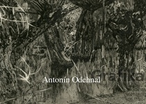 VÝSTAVA: ANTONÍN ODEHNAL - GRAFIKY