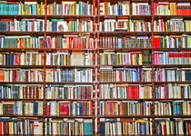 TATO BY SE VÁM MOHLA LÍBIT...