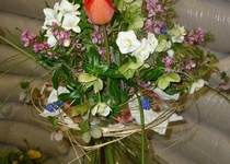 Flora Olomouc