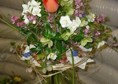 Flora Olomouc