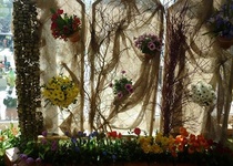 Flora Olomouc