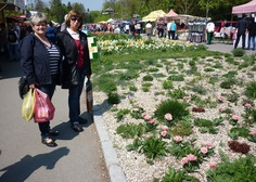 Flora Olomouc