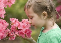 Zájezd „JARNÍ ETAPA VÝSTAVY FLORA OLOMOUC“