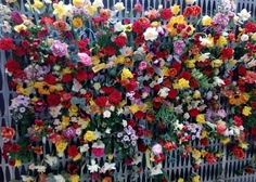 Zájezd „JARNÍ ETAPA VÝSTAVY FLORA OLOMOUC“