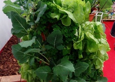 Zájezd „JARNÍ ETAPA VÝSTAVY FLORA OLOMOUC“