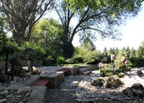 Výlet MKS - KD III: ARBORETUM MENDELOVY UNIVERZITY