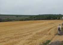 11/07/2018 Výlet: LEVANDULOVÁ FARMA VE STAROVIČKÁCH