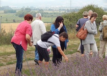 11/07/2018 Výlet: LEVANDULOVÁ FARMA VE STAROVIČKÁCH