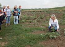 11/07/2018 Výlet: LEVANDULOVÁ FARMA VE STAROVIČKÁCH