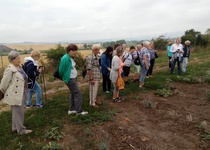 11/07/2018 Výlet: LEVANDULOVÁ FARMA VE STAROVIČKÁCH