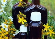 LÉČIVÉ ROSTLINY A JEJICH VYUŽITÍ