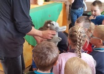 Dopoledne s pohádkou: ČERVENÁ KARKULKA a PERNÍKOVÁ CHALOUPKA