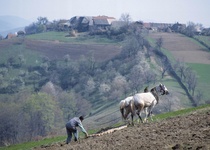 ČTYŘI ROČNÍ OBDOBÍ V RUMUNSKÉM KRAJANSKÉM BANÁTU
