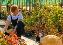 ZÁJEZD DO BLANENSKÉHO KINA NA FILM: LOVE/NÍ