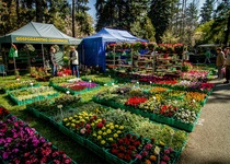 ZÁJEZD: VÝSTAVA FLORA OLOMOUC