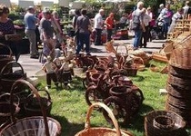 25/04/2019 Zájezd na výstavu Flora Olomouc