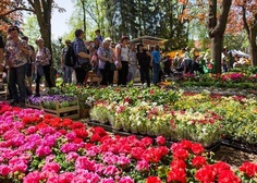 25/04/2019 Zájezd na výstavu Flora Olomouc