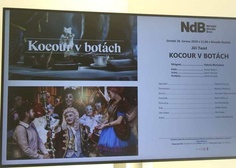 20/06/2019 Kocour v botách v Redutě