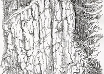 Výstava: OLDŘICH TREUNTNER - Obrazy a kresby