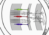 MOBILNÍ PLANETÁRIUM V ADAMOVĚ - potvrzujeme, že bude u Alberta!!!