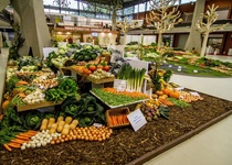 FLORA OLOMOUC - PODZIMNÍ ETAPA s otazníkem...