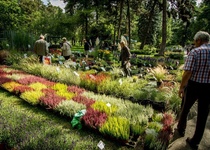 FLORA OLOMOUC - PODZIMNÍ ETAPA s otazníkem...