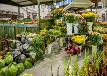 FLORA OLOMOUC - PODZIMNÍ ETAPA s otazníkem...