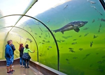 POZOR - U ZÁJEZDU DOCHÁZÍ KE ZMĚNĚ