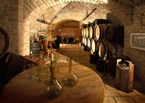 BRNĚNSKÉ PODZEMÍ S ALEŠEM SVOBODOU