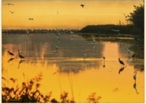 VÝSTAVA PRACÍ JITKY HAVLOVÉ