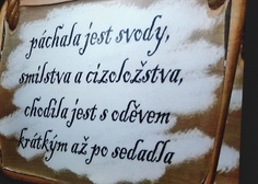 Přednáška Ing. Aleše Svobody o brněnském pozemí