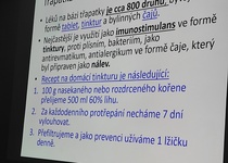 Přednáška o bylinkách Ing. Blanky Kocourkové