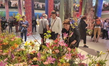 Zájezd na výstavu Flora Olomouc