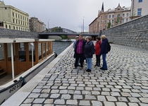 Letošní Flora Olomouc...