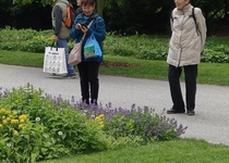 Letošní Flora Olomouc...