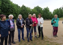 Kulturní zážitky vystřídal pohyb v podobě "severské chůze"