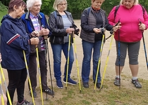 Kulturní zážitky vystřídal pohyb v podobě "severské chůze"