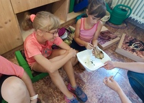 S dětmi jsme se vypravili na Rychtu do Krásenska