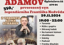 VZPOMÍNKOVÝ KONCERT FRANTIŠKA NEDVĚDA