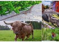 DOVOLENÁ 2024 - SOUTĚŽ PRO FOTOGRAFY AMATÉRY