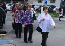 Šakalí léta v MDB