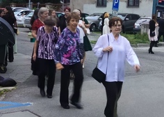 Šakalí léta v MDB