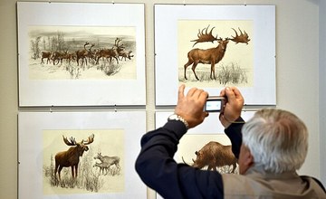 VÝSTAVA V ZÁŘÍ 2025: ILUSTRACE PAVLA A PAVLY DVORSKÝCH