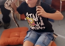 Dotykem k poznání i letos...