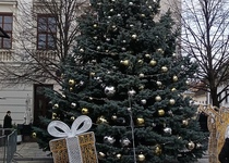 Z výletu do maďarského Györu