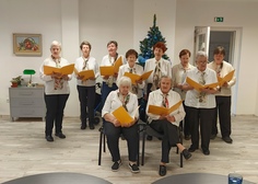 Předvánoční setkání v DPS